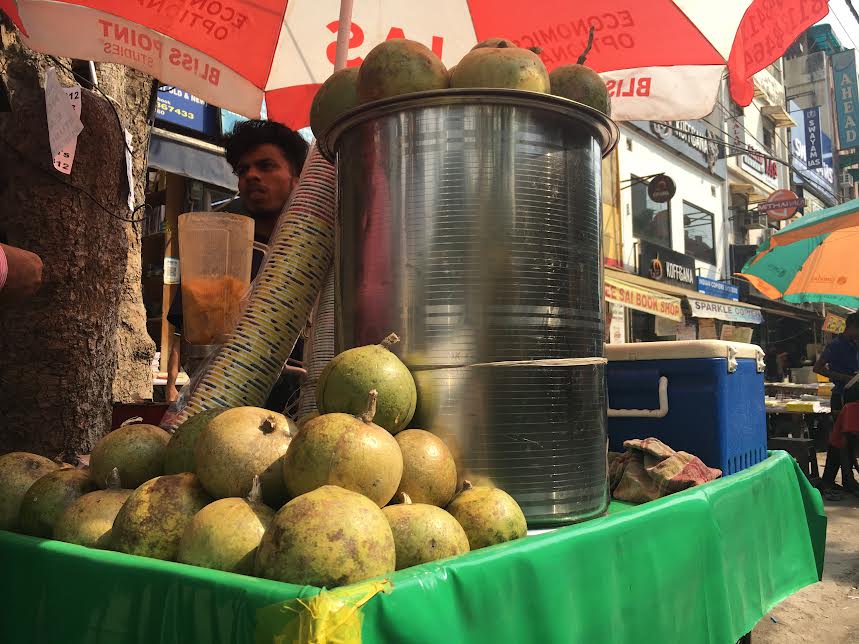 ドローン撮影 インド ,